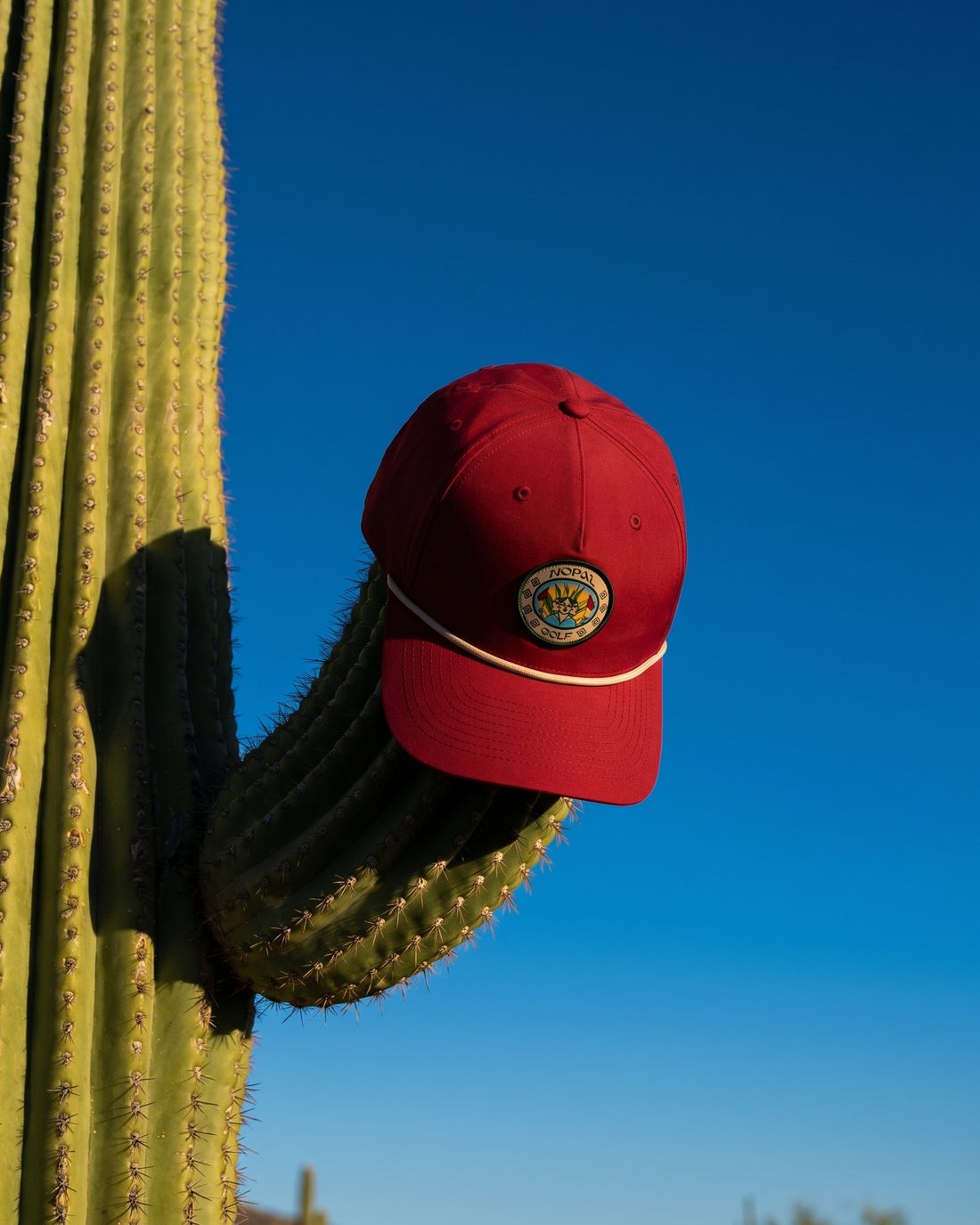 Gorra Rojo Sinaloa colgada de un cactus saguaro contra cielo azul